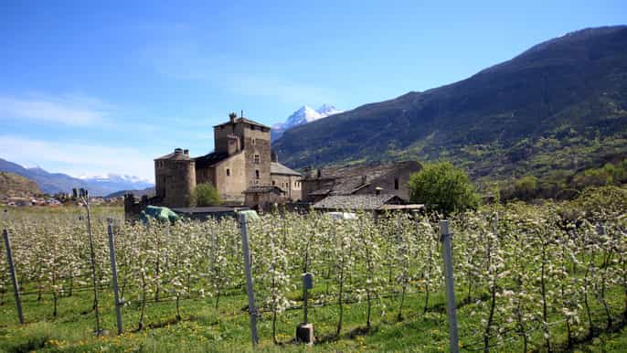 tour privado de medio día por los castillos de aosta
