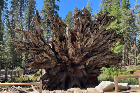 Yosemite, Séquoias géants, visite privée depuis San FranciscoYosemite privé, séquoias géants, depuis San Francisco