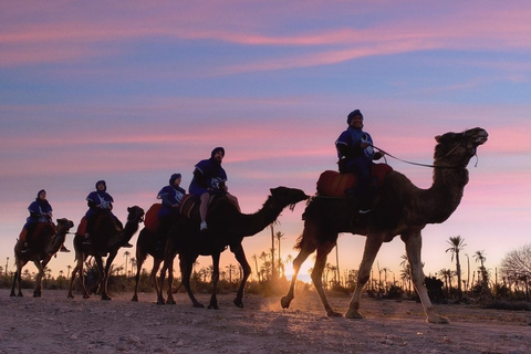 Marrakech Palmeraie: Sunset Camel Ride