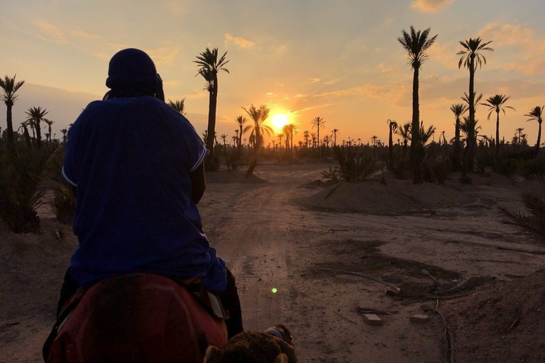 Marrakech palm grove: Sunset camel rideMarrakech Palmeraie: Sunset Camel Ride