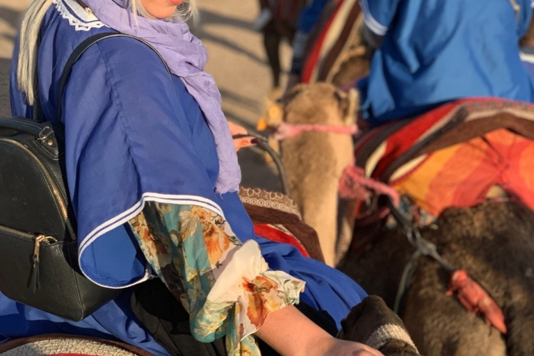 Marrakech palm grove: Sunset camel rideMarrakech Palmeraie: Sunset Camel Ride