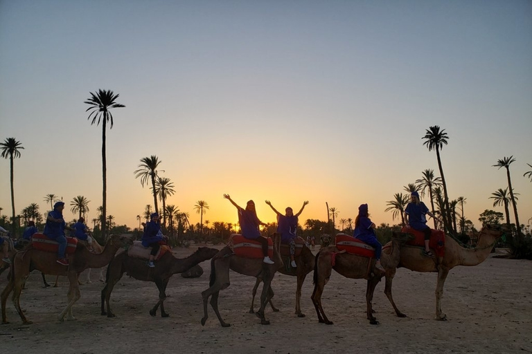 Marrakech palm grove: Sunset camel rideMarrakech Palmeraie: Sunset Camel Ride