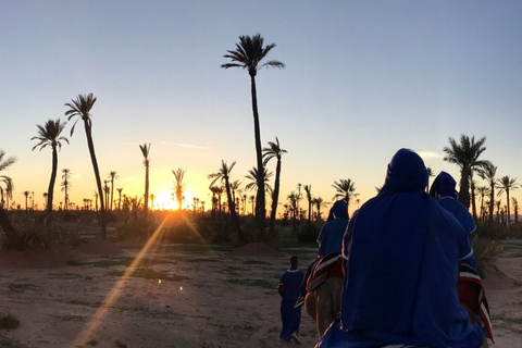 Marrakech Palmeraie: Sunset Camel Ride