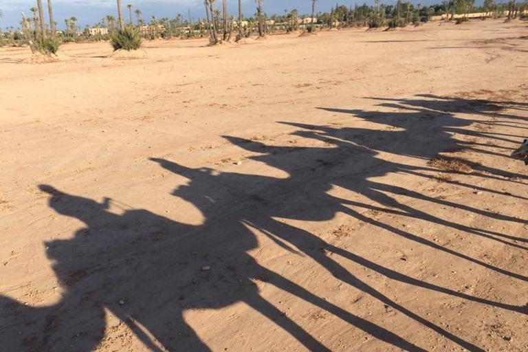 Marrakech Palmeraie: Sunset Camel Ride