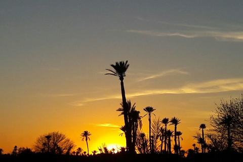 Marrakech Palmeraie: Sunset Camel Ride