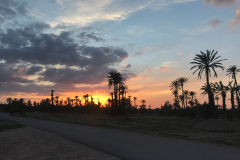 Marrakech Palmeraie: Sunset Camel Ride