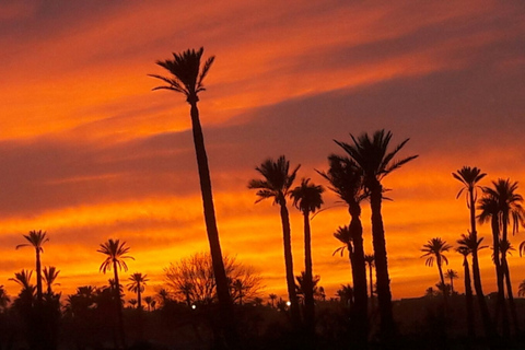 Marrakech Palmeraie: Sunset Camel Ride