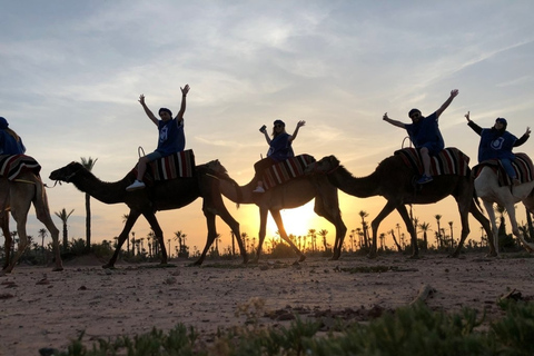 Marrakesz: Oaza Palmeraie – jazda wielbłądem i zachód słońca