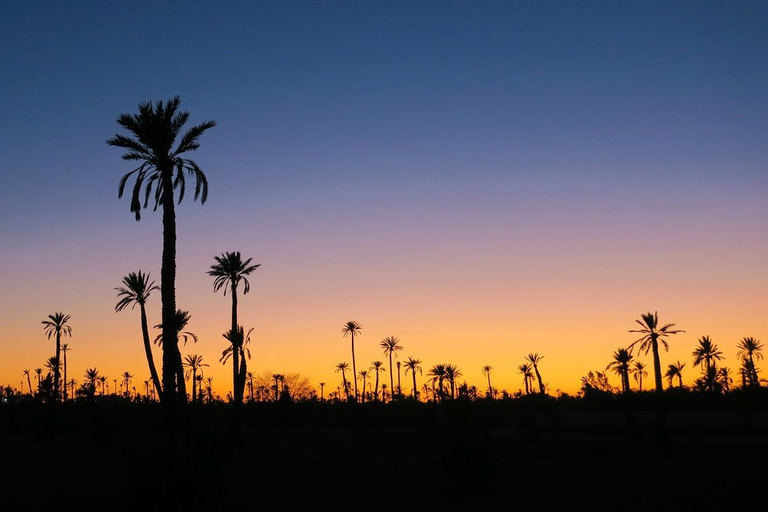 Marrakech palm grove: Sunset camel rideMarrakech Palmeraie: Sunset Camel Ride