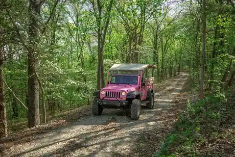 Branson: Table Rock Lake and Baird Mountain Jeep Tour