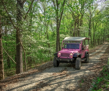 Branson: Table Rock Lake and Baird Mountain Jeep Tour