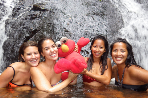 Atherton Tablelands: tour di un giorno ai laghi, alle cascate e alla foresta pluviale