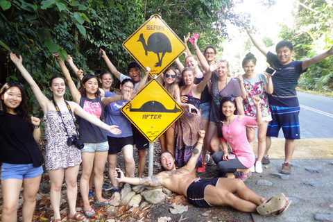 Cairns: Cape Tribulation, plaże, krokodyle i jednodniowa wycieczka po pływaniuCairns: Cape Tribulation, plaże, krokodyle i całodniowa wycieczka po pływaniu