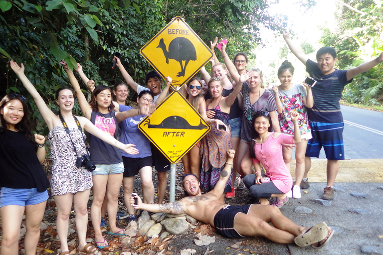 Cairns: Excursión de un día a Cape Tribulation, playas, cocodrilos y natación