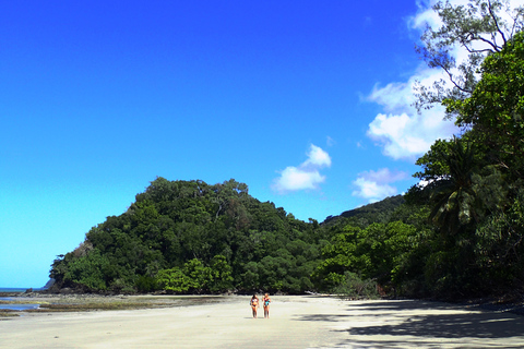 Cairns: excursão de um dia a Cape Tribulation, praias, crocodilos e natação