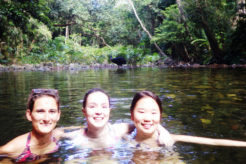 Cairns: excursão de um dia a Cape Tribulation, praias, crocodilos e natação