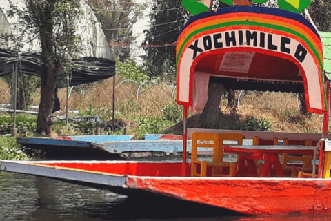 Xochimilco: Private Magic Christmas Boat Tour