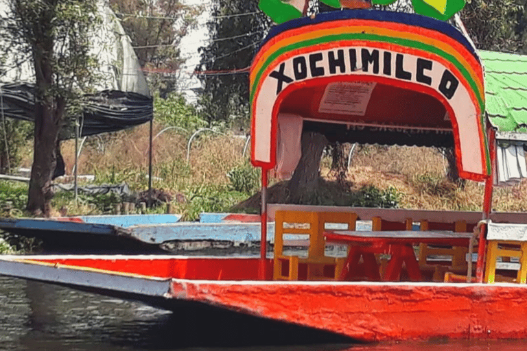 Xochimilco: Private Magic Christmas Boat Tour