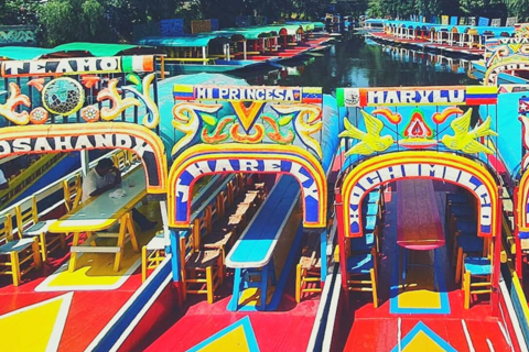 Xochimilco: Private Magic Christmas Boat Tour