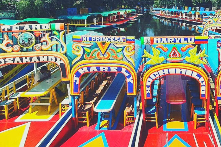 Xochimilco: Private Magic Christmas Boat Tour