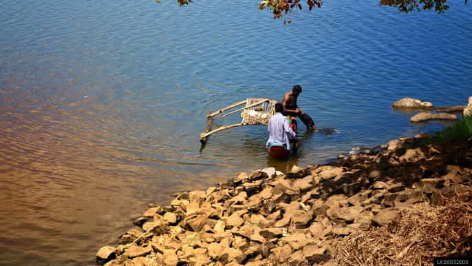 from kandy mahiyanganya and dambana day trip
