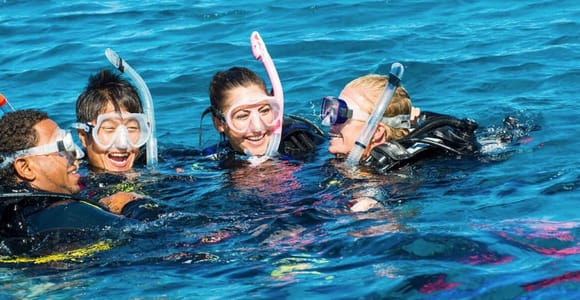 Diving in the North with Blue World Adventures