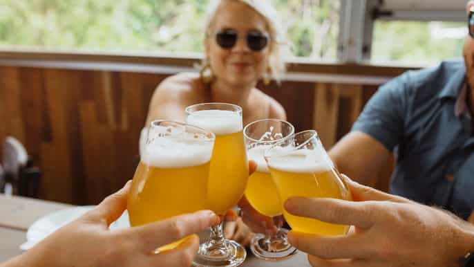 sunshine coast halfday coastal craft brewery tour