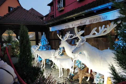 Bezaubernde Weihnachtserlebnisse von Colmar ausAb Colmar: Weihnachtszauber im Elsass