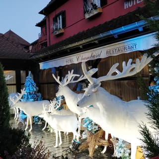 De Colmar: Mercados de Natal em 3 Diferentes Fronteiras