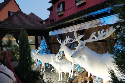 Ab Colmar: Weihnachtsmärkte über 3 Grenzen hinweg