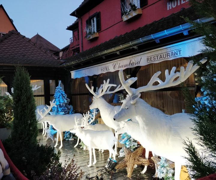 Ab Colmar: Weihnachtsmärkte über 3 Grenzen hinweg