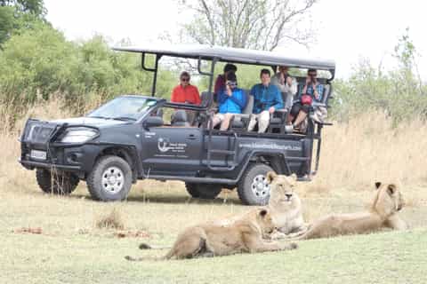 From Maun: Moremi Game Reserve Day Trip