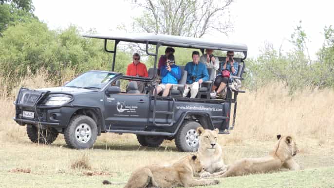 from maun moremi game reserve day trip