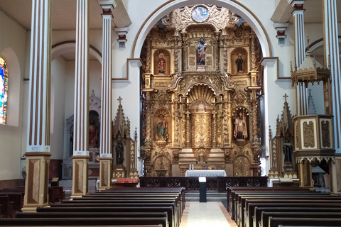 Panama City: visite des écluses de Miraflores en petit groupe et visite de la ville