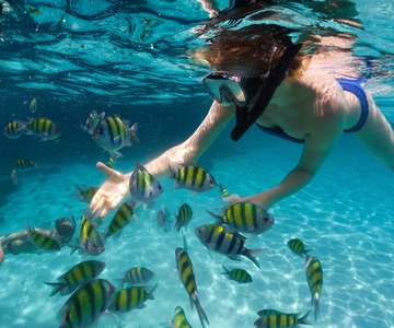 Red Hook: 4-Hour Boat Tour to Saint John with Snorkeling