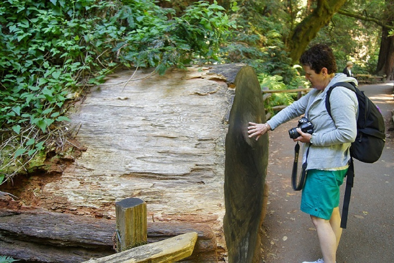 San Francisco: Guided Coastal Redwoods &amp; Wine Country Tour