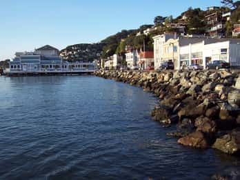 San Francisco: Muir Woods, Sausalito und Wine Country Tour San Francisco: Muir Woods, Sausalito und Wine Country Tour