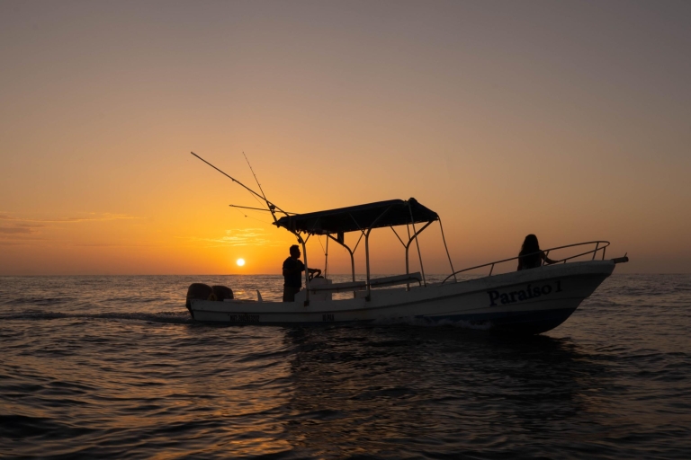 Puerto Escondido: Observation du dauphin et des baleines au lever du soleil