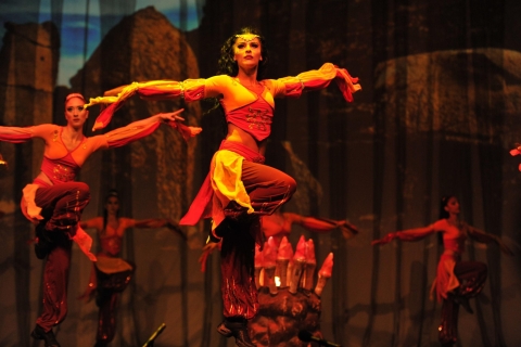 Side: Fire of Anatolia Dance Show Entry Ticket & Transfer Standard Option