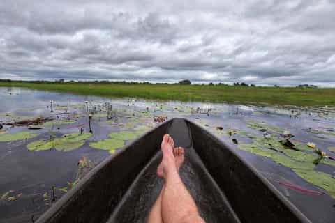 maun okavanga delta canoeing day trip