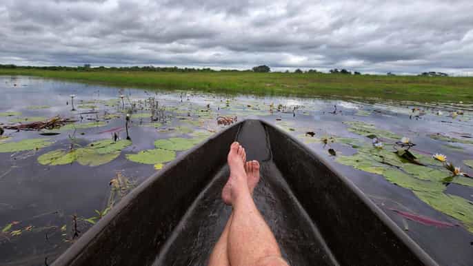 maun okavanga delta canoeing day trip