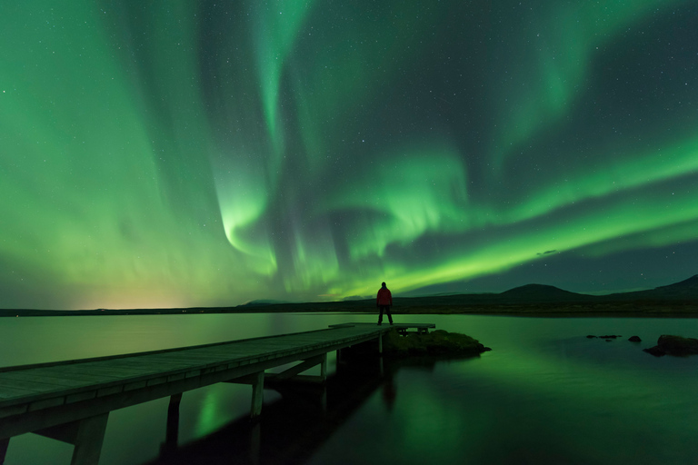 Från Reykjavík: Blå lagunen och norrskensrundtur