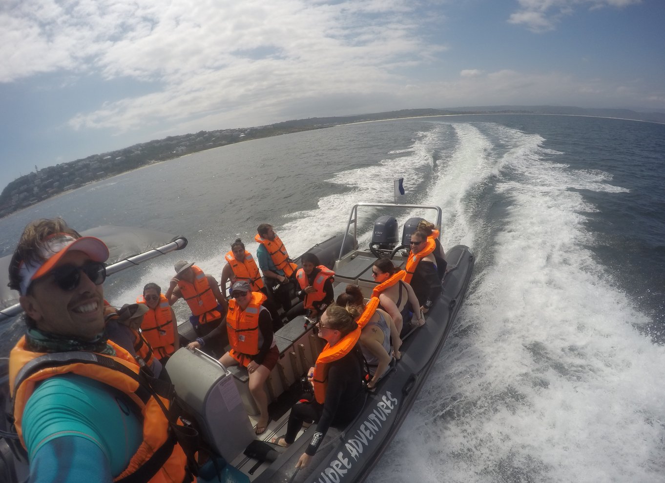 Plettenberg Bay: Svøm med sæler