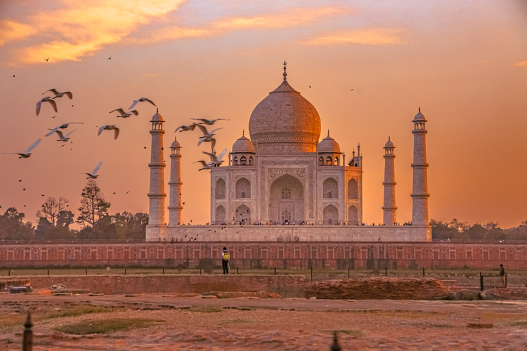 Från Agra: Halvdags soluppgångstur till Taj Mahal med Agra FortHalvdags soluppgångstur till Taj Mahal med Agra Fort från Agra