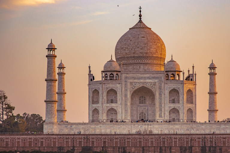 Från Agra: Halvdags soluppgångstur till Taj Mahal med Agra FortHalvdags soluppgångstur till Taj Mahal med Agra Fort från Agra