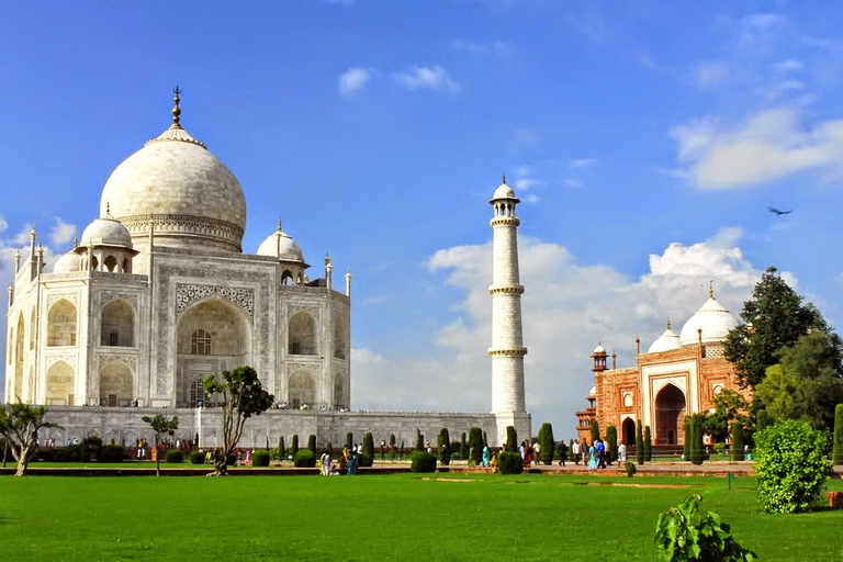 Från Agra: Halvdags soluppgångstur till Taj Mahal med Agra FortHalvdags soluppgångstur till Taj Mahal med Agra Fort från Agra