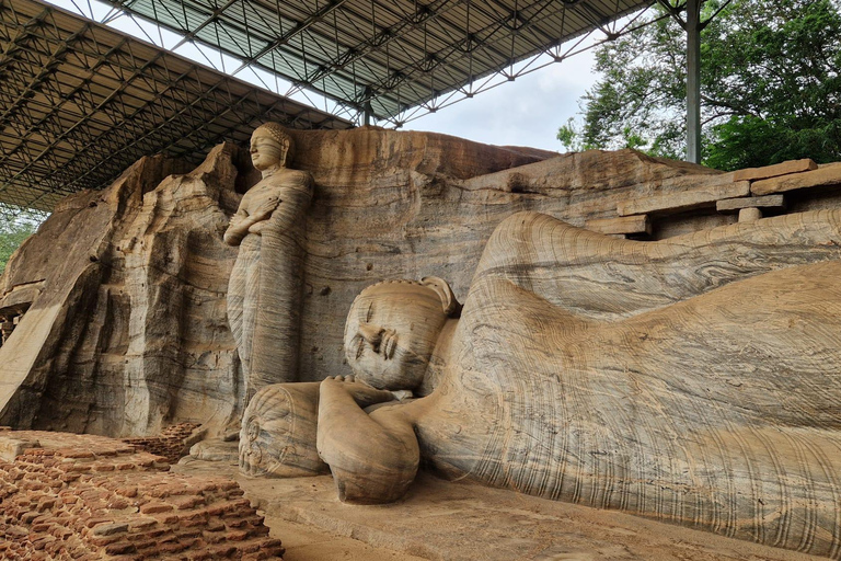 Polonnaruwa Day Trip with Lunch and Hotel Pickup