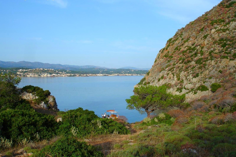 Chania: Full-Day Sailing Cruise with Lunch