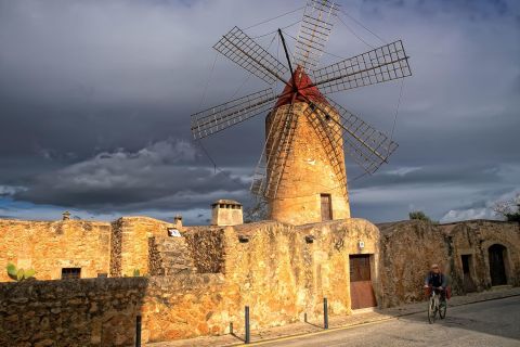 Mallorca: Windmills and Charming Villages Guided Tour