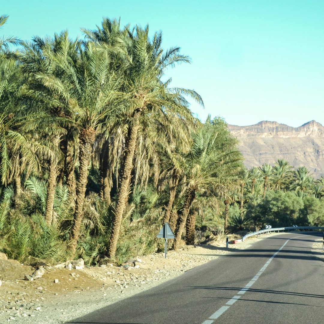 Au départ de Ouarzazate : Excursion d'une journée à Zagora et dans la vallée du Draa